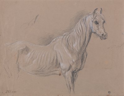 牝馬-おそらくテートギャラリーで1827年に作られたLAmour de Chevalの研究 作： James Ward